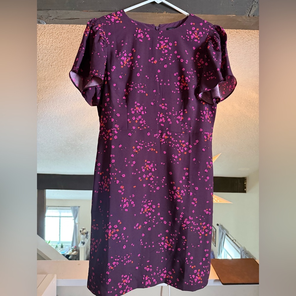 Ann Taylor Dark Purple and Pink Floral Dress